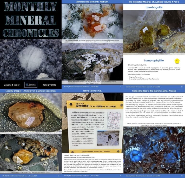 Monthly Mineral Chronicles Volume 8 Issue 1