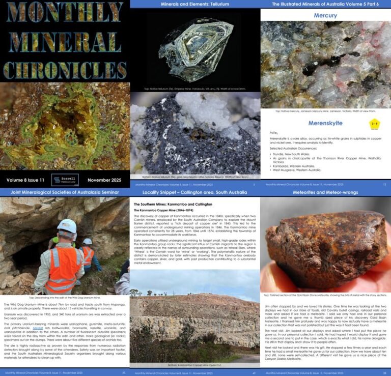 Monthly Mineral Chronicles Volume 8 Issue 11