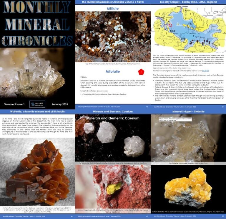 Monthly Mineral Chronicles Volume 9 Issue 1